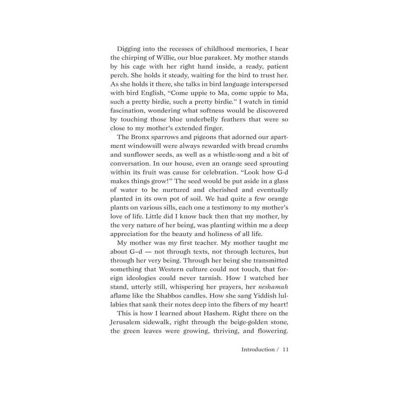 A Mother's Favorite Stories - Hardcover | Books | Judaica