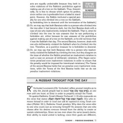 A Daily Dose of Torah Series 1 Vol 09: Weeks of Ba | Books | Judaica