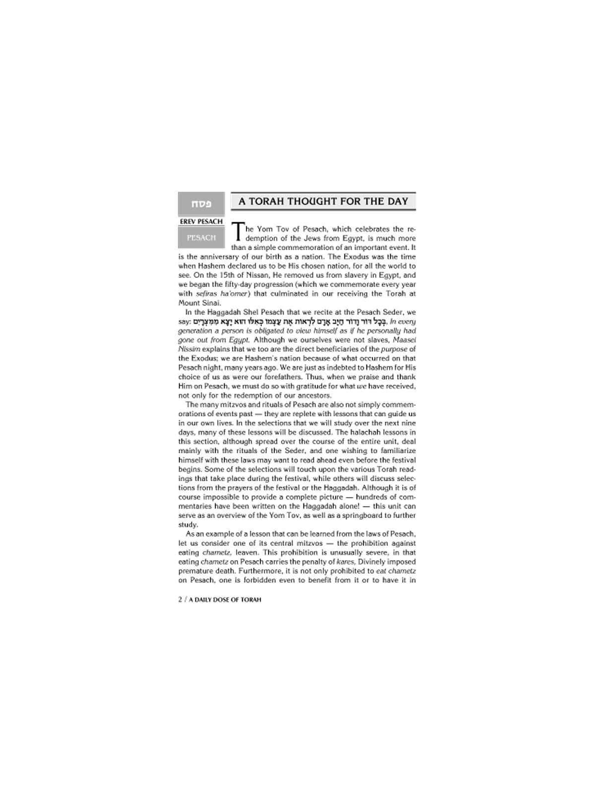 A Daily Dose of Torah Series 1 Vol 14: The Festiva | Books | Judaica