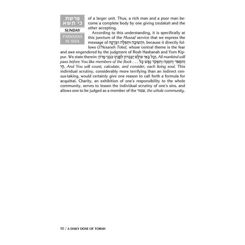 A Daily Dose of Torah Series 1 Vol 06: Weeks of Ki | Books | Judaica