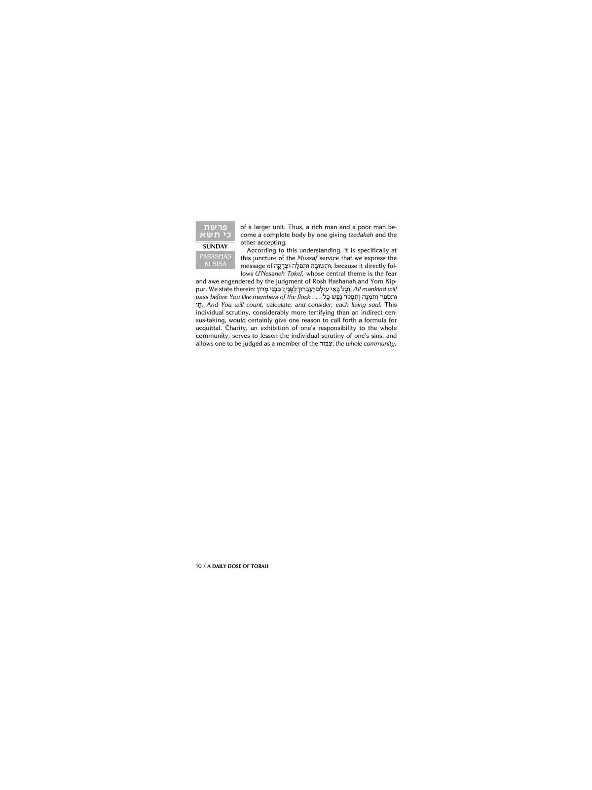 A Daily Dose of Torah Series 1 Vol 06: Weeks of Ki | Books | Judaica