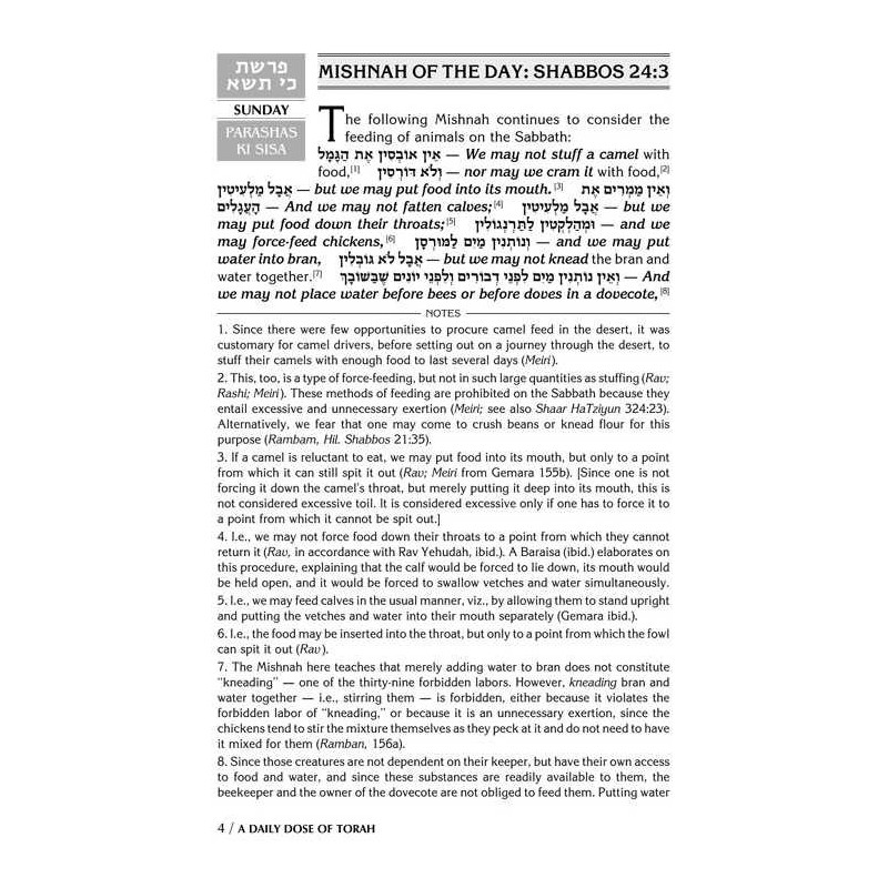 A Daily Dose of Torah Series 1 Vol 06: Weeks of Ki | Books | Judaica