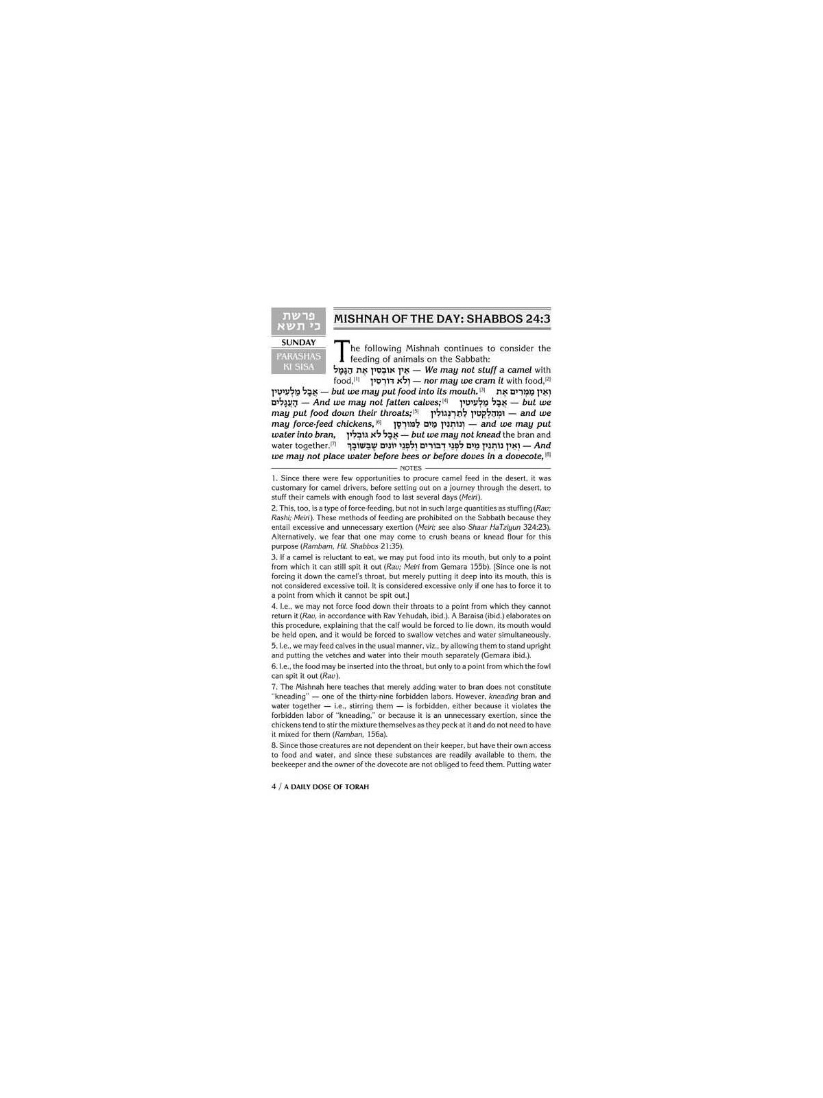 A Daily Dose of Torah Series 1 Vol 06: Weeks of Ki | Books | Judaica
