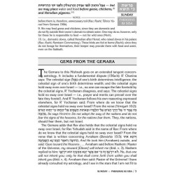 A Daily Dose of Torah Series 1 Vol 06: Weeks of Ki | Books | Judaica