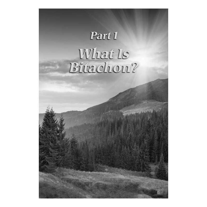 A Life of Bitachon | Books | Judaica