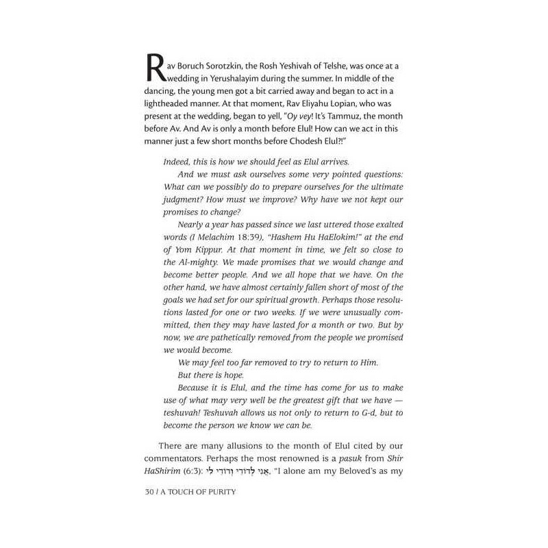 A Touch of Purity - Hardcover | Books | Judaica