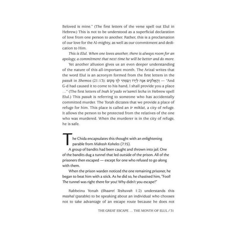 A Touch of Purity - Hardcover | Books | Judaica