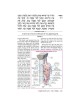 Yad Avraham Mishnah Series:31 Tractate Arachin (Se | Books | Judaica
