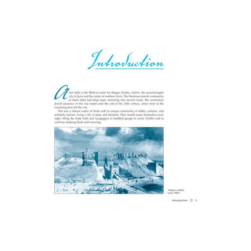 Aleppo - City of Scholars | Books | Judaica
