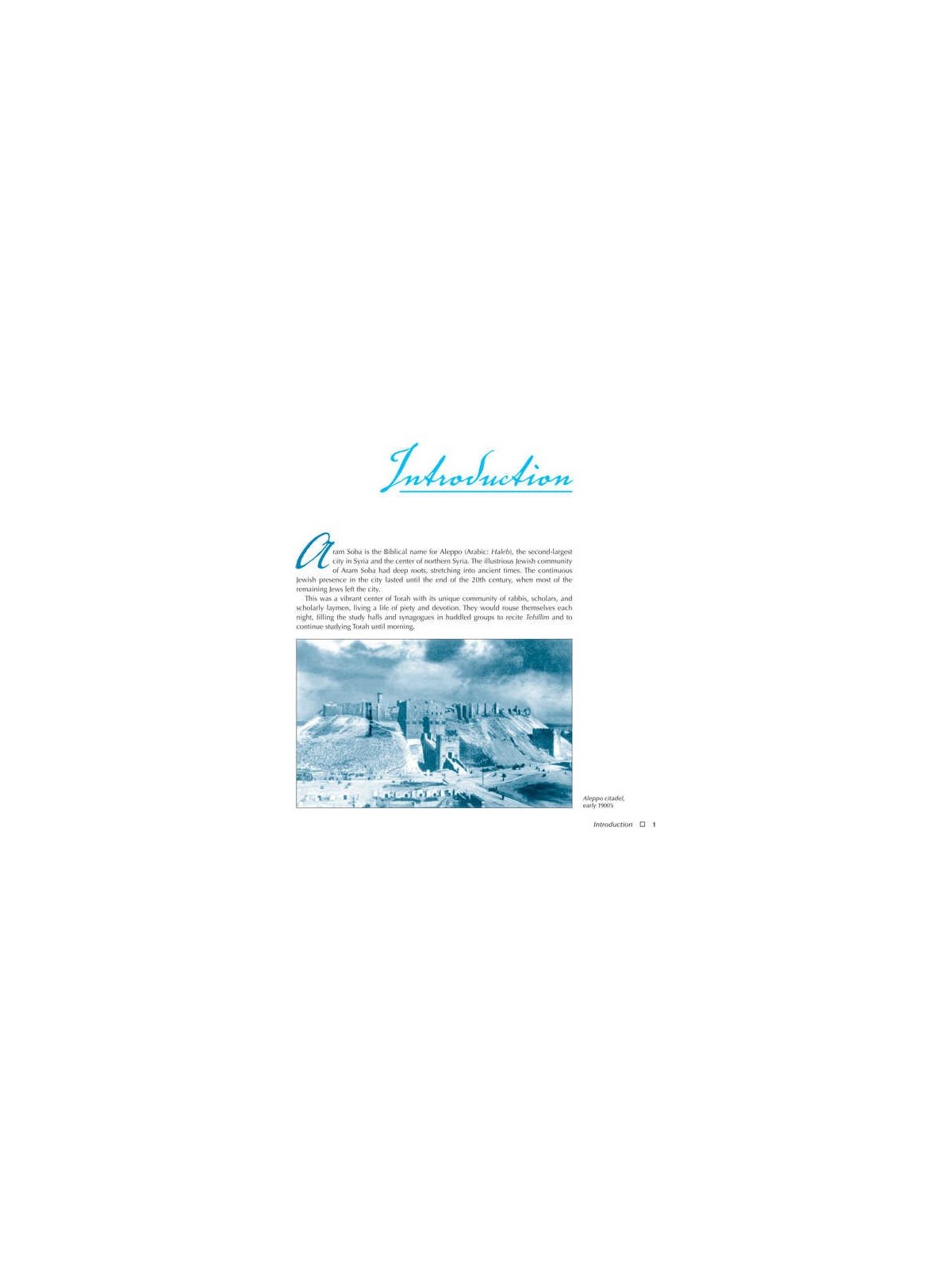 Aleppo - City of Scholars | Books | Judaica