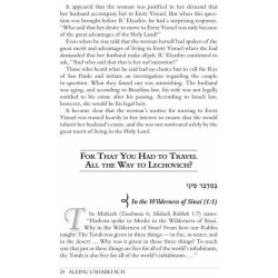 Aleinu L'Shabei'ach - Bamidbar | Books | Judaica