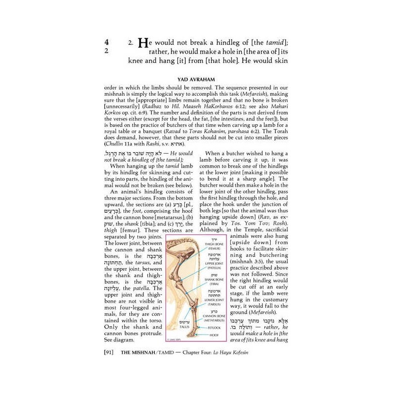 Yad Avraham Mishnah Series:30 Tractate Bechoros (S | Books | Judaica