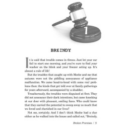 Broken Promises | Books | Judaica