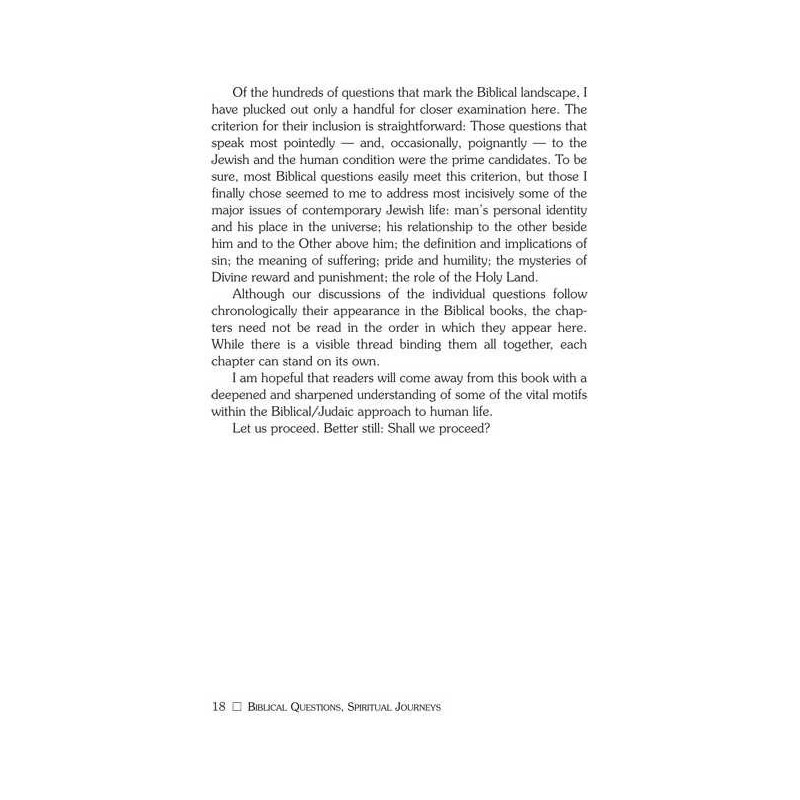 Biblical Questions, Spiritual Journeys - Paperback | Books | Judaica
