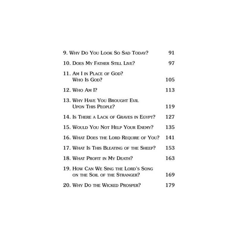 Biblical Questions, Spiritual Journeys - Paperback | Books | Judaica