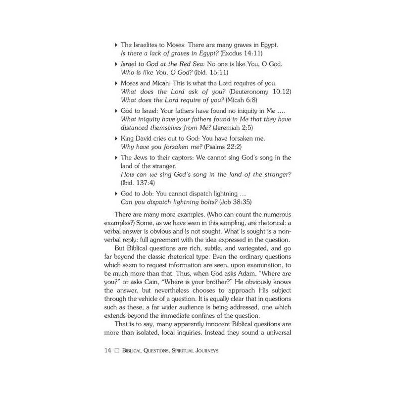 Biblical Questions, Spiritual Journeys - Paperback | Books | Judaica