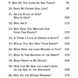 Biblical Questions, Spiritual Journeys - Hardcover | Books | Judaica