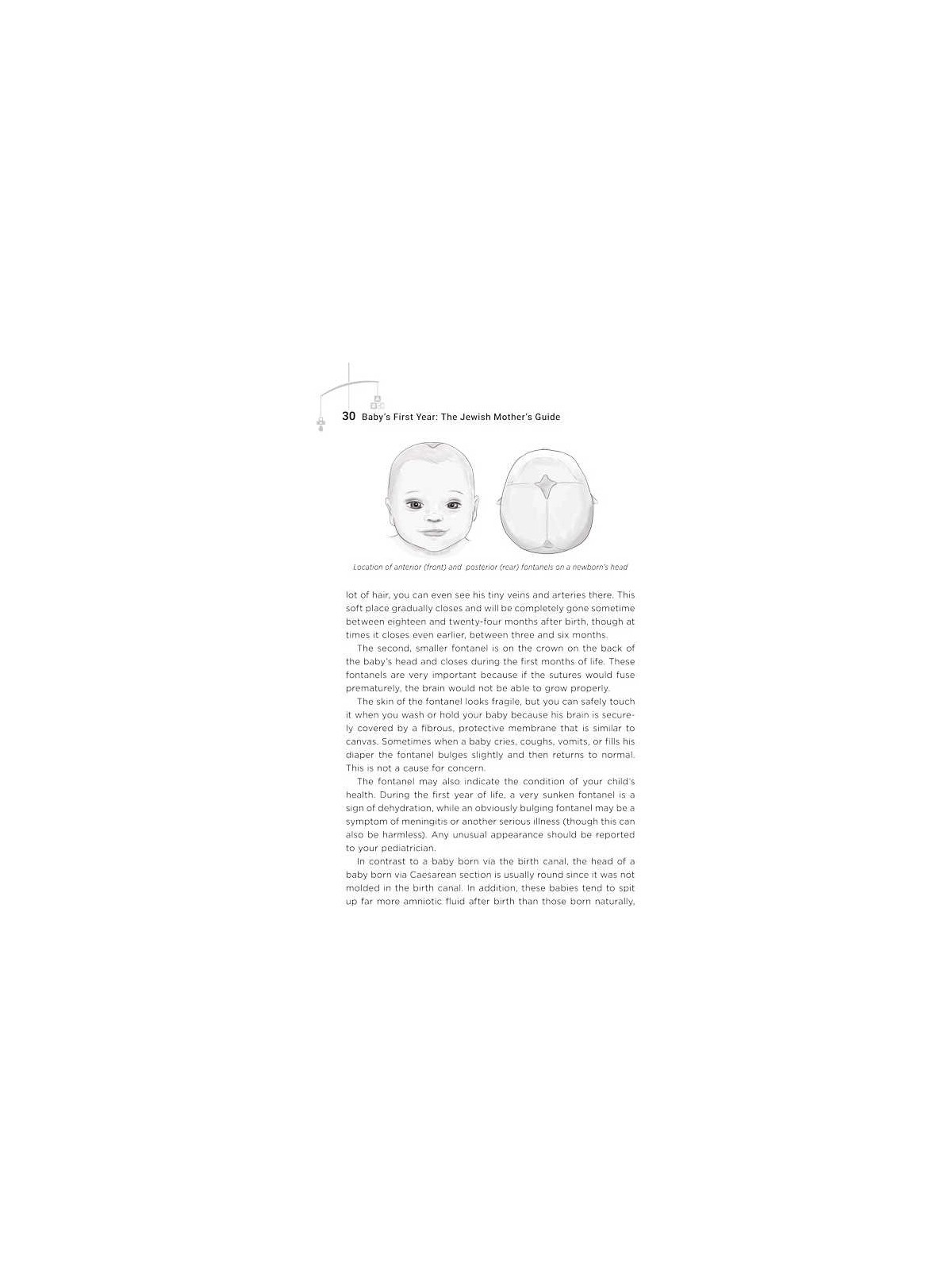 Babys First Year: The Jewish Mothers Guide | Books | Judaica