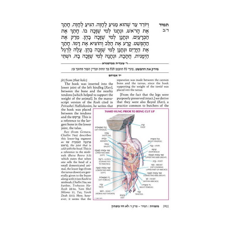 Yad Avraham Mishnah Series:29 Tractate Chullin (Se | Books | Judaica