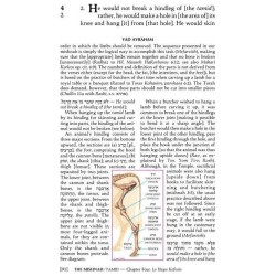 Yad Avraham Mishnah Series:29 Tractate Chullin (Se | Books | Judaica