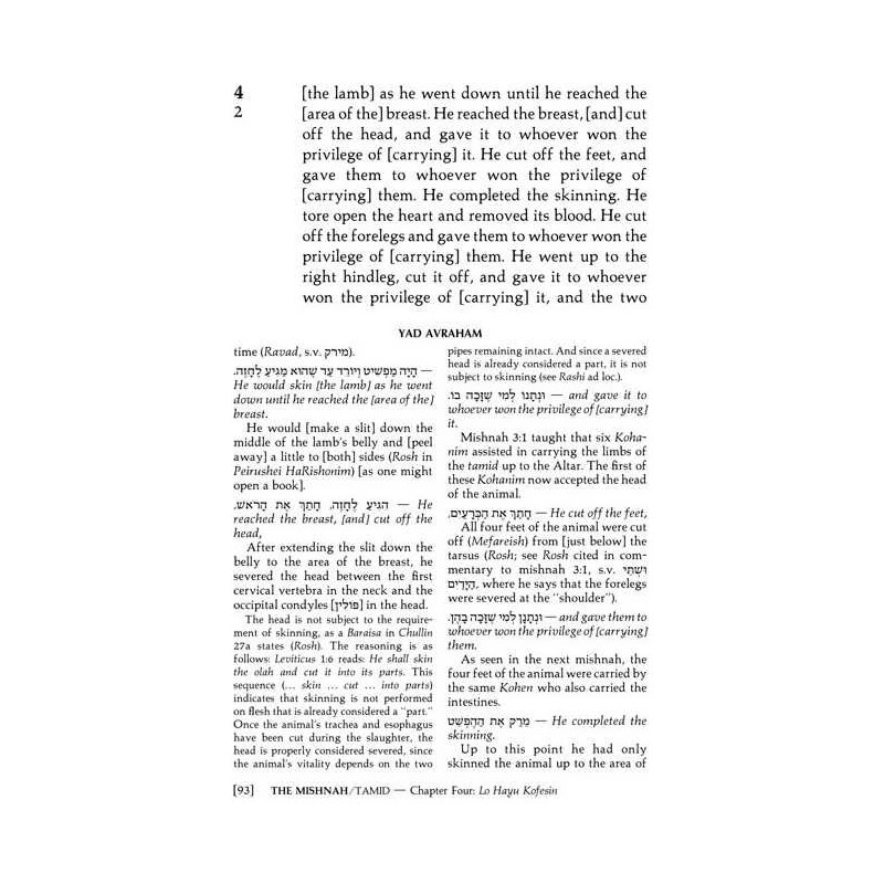 Yad Avraham Mishnah Series:29 Tractate Chullin (Se | Books | Judaica