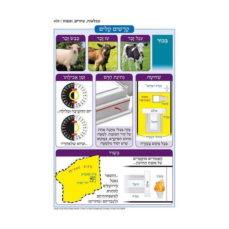 Chumash - Chinuch Tiferes Micha'el Hebrew Only Vol | Books | Judaica