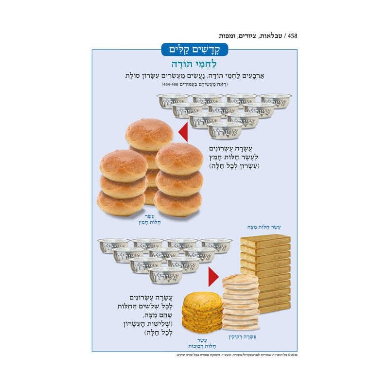 Chumash - Chinuch Tiferes Micha'el With Vowelized  | Books | Judaica