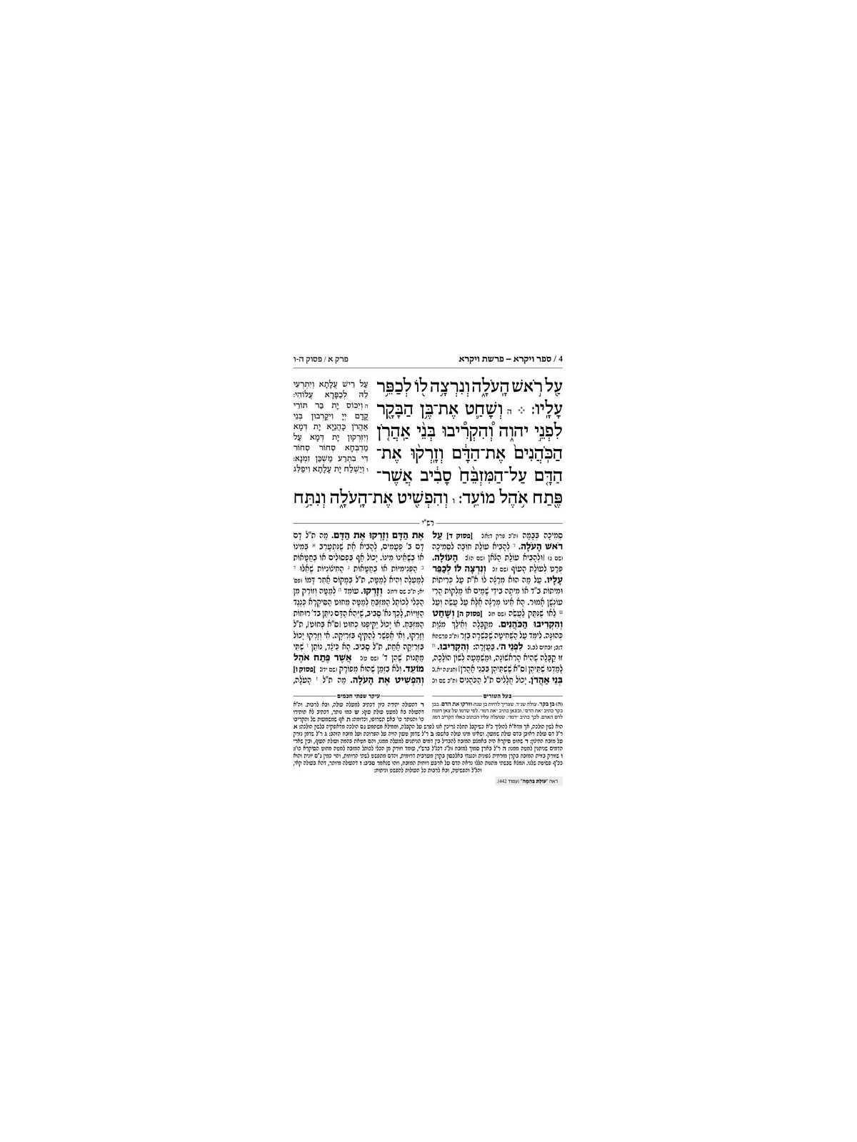 Chumash - Chinuch Tiferes Micha'el With Vowelized  | Books | Judaica