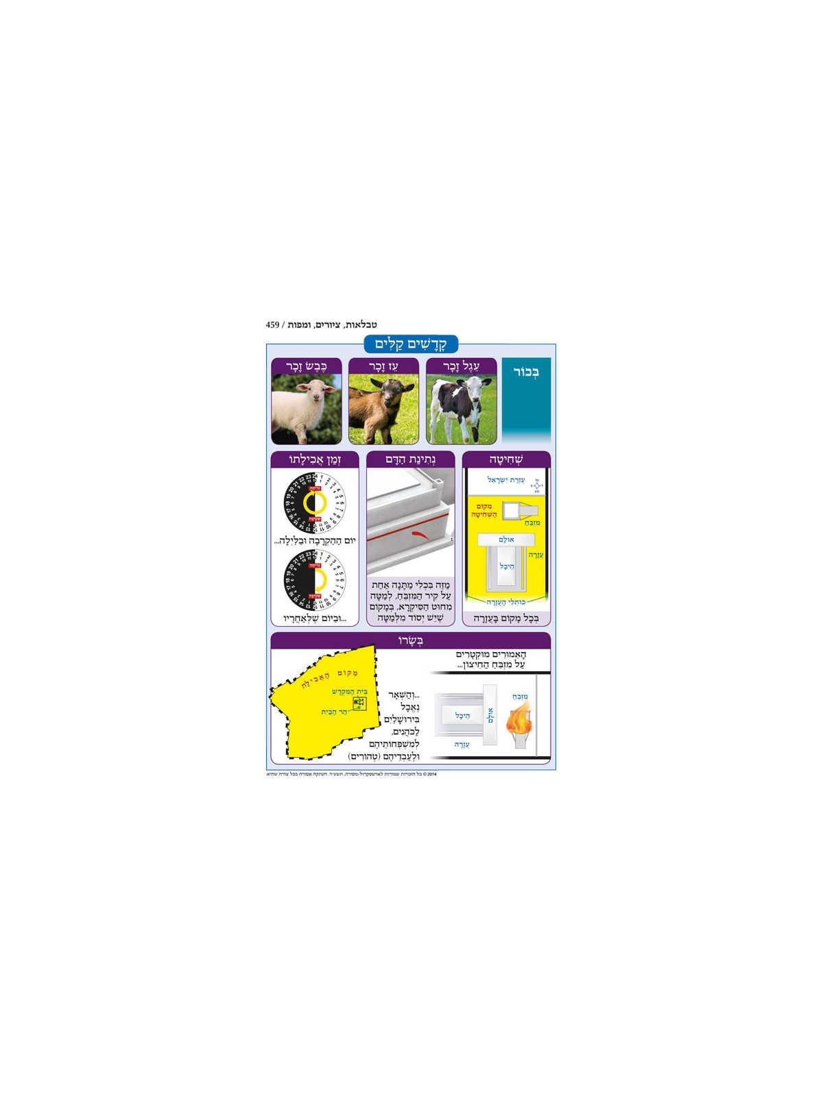 Chumash - Chinuch Tiferes Micha'el With Vowelized  | Books | Judaica