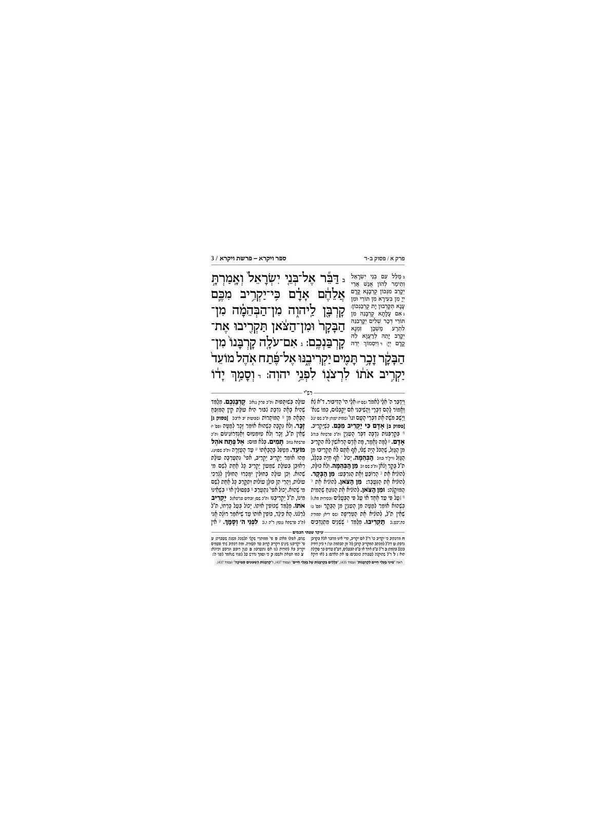 Chumash - Chinuch Tiferes Micha'el With Vowelized  | Books | Judaica