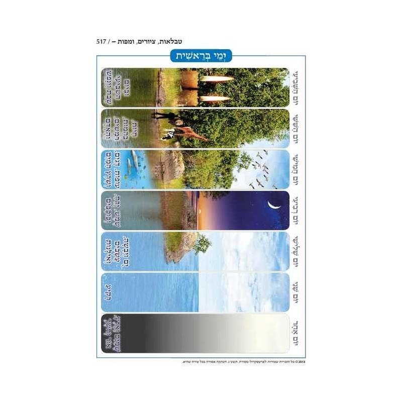 Chumash - Chinuch Tiferes Micha'el Volume 1: Berei | Books | Judaica