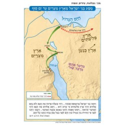 Chumash - Chinuch Tiferes Micha'el Hebrew Only Vol | Books | Judaica
