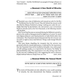 Days Of Joy: Sfas Emes - Hardcover | Books | Judaica