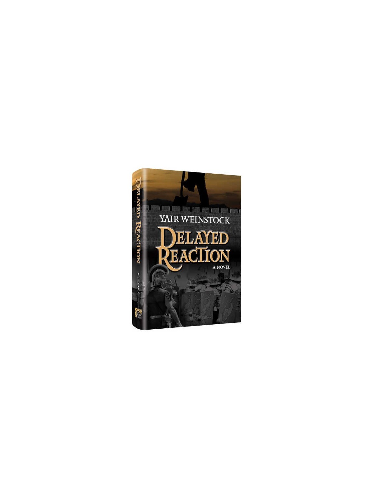 Delayed Reaction - Hardcover | Books | Judaica