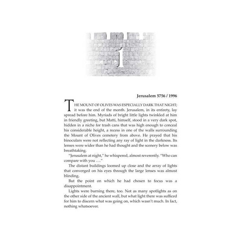 Delayed Reaction - Hardcover | Books | Judaica