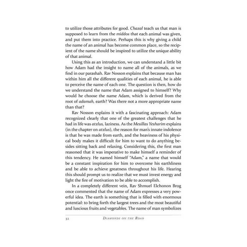 Diamonds on the Road | Books | Judaica