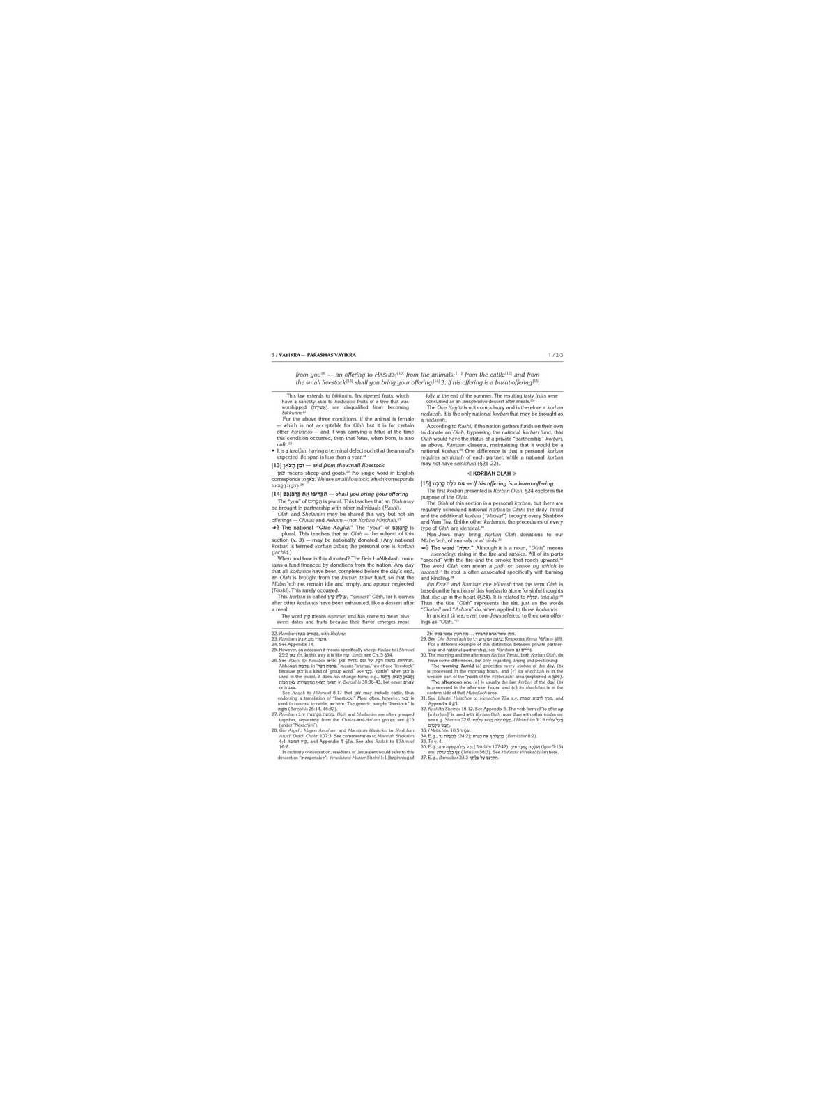 Eternal Fire of Sefer Vayikra | Books | Judaica