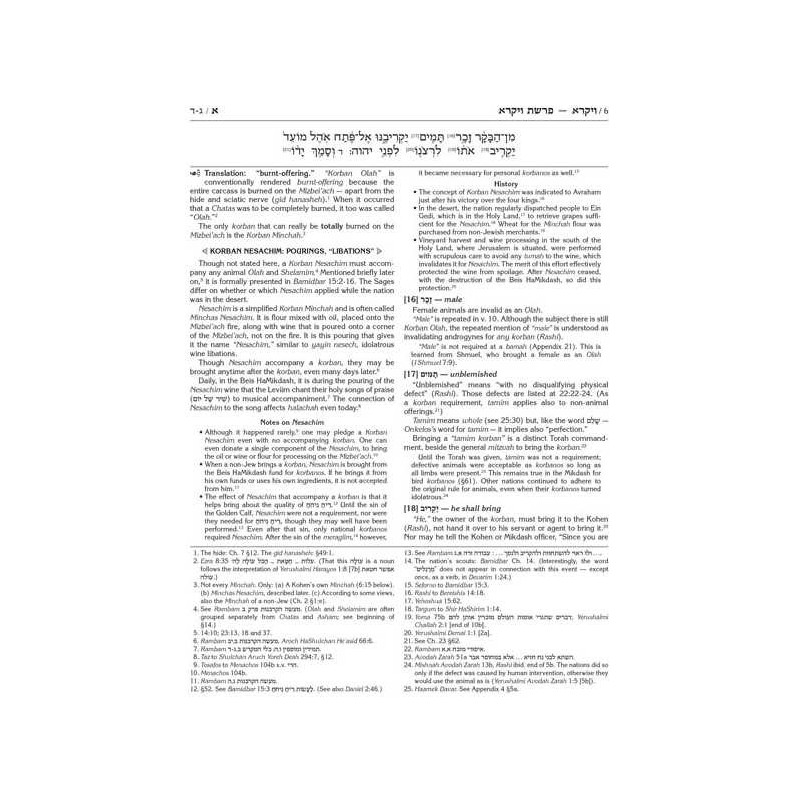 Eternal Fire of Sefer Vayikra | Books | Judaica