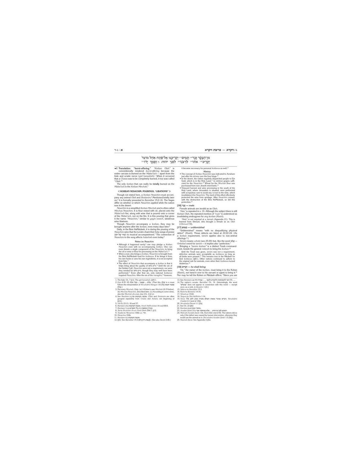 Eternal Fire of Sefer Vayikra | Books | Judaica