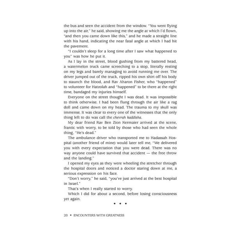 Encounters With Greatness | Books | Judaica