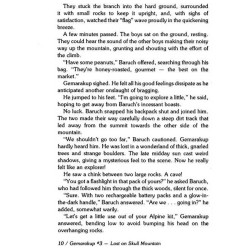 Gemarakup Super Sleuth Volume 3: Lost on Skull Mou | Books | Judaica