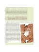 Great Jewish Letters - Hardcover | Books | Judaica