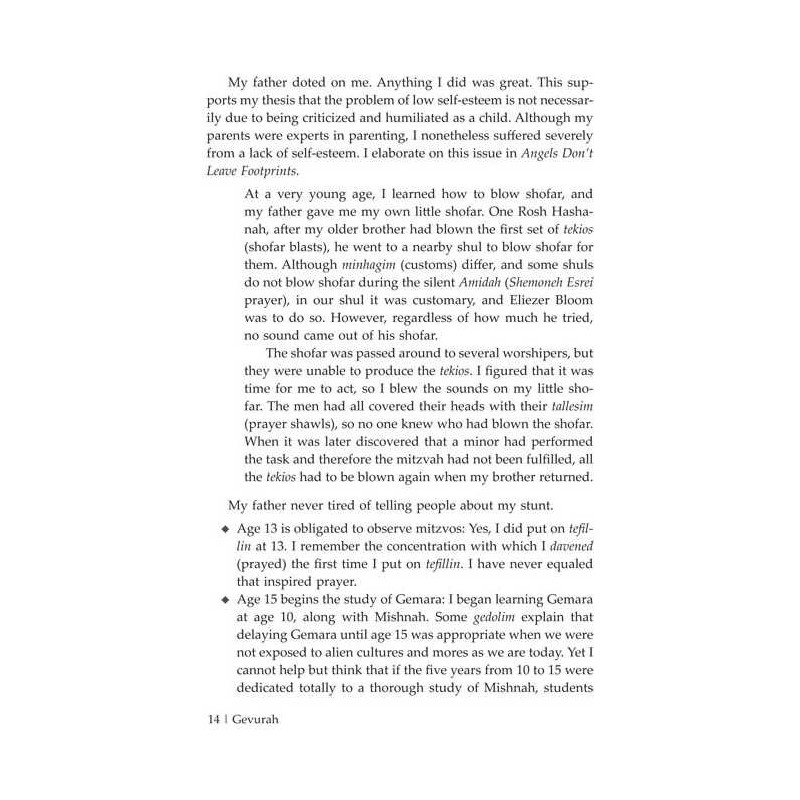 Gevurah: My life, Our World, and the Adventure | Books | Judaica