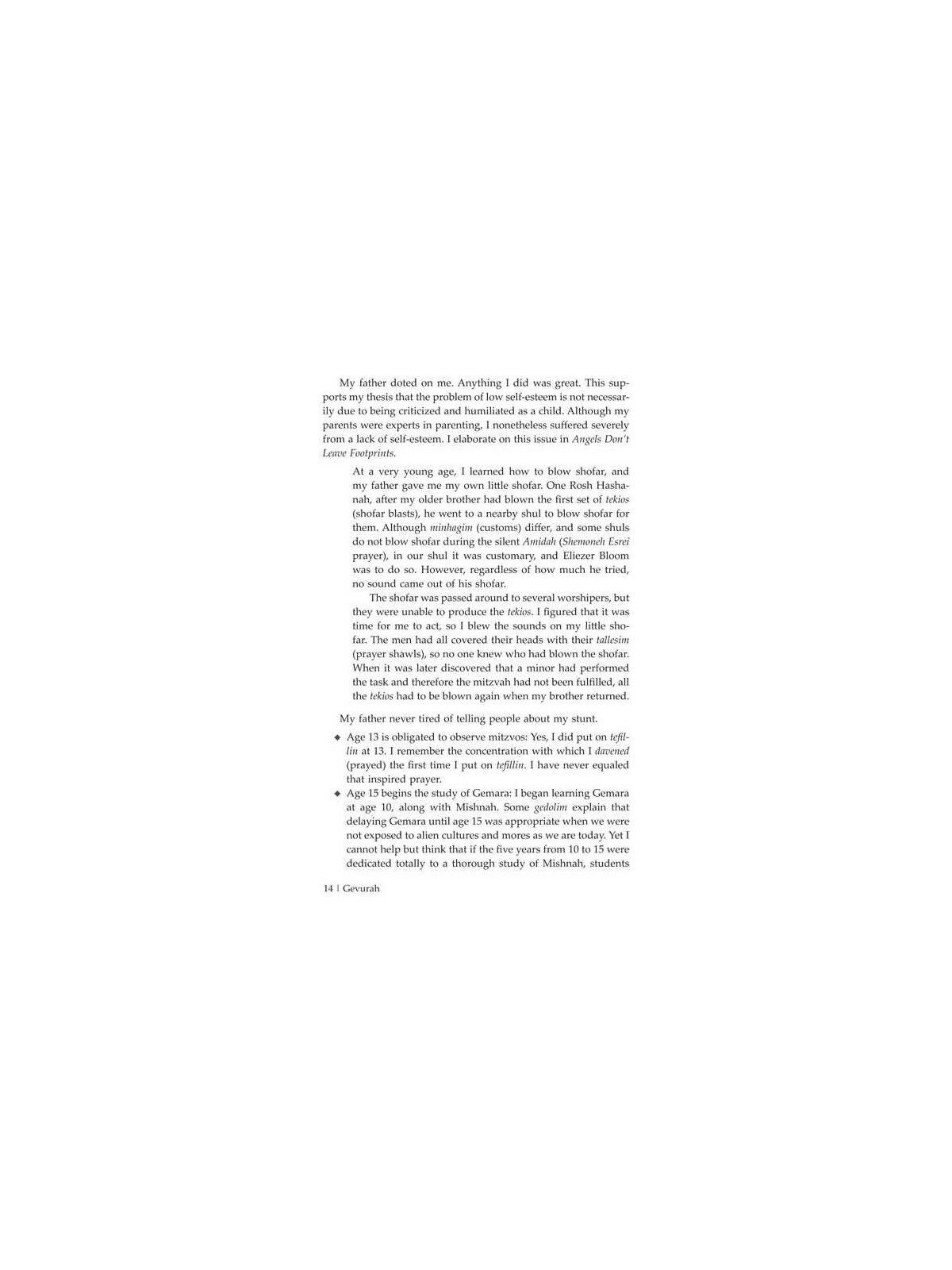 Gevurah: My life, Our World, and the Adventure | Books | Judaica