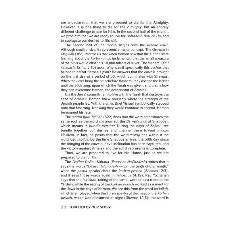 Haggadah Touched by Our Story | Passover | Judaica