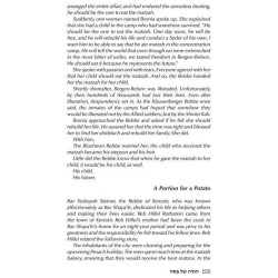 Haggadah Touched by Our Story | Passover | Judaica