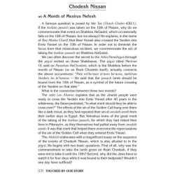 Haggadah Touched by Our Story | Passover | Judaica