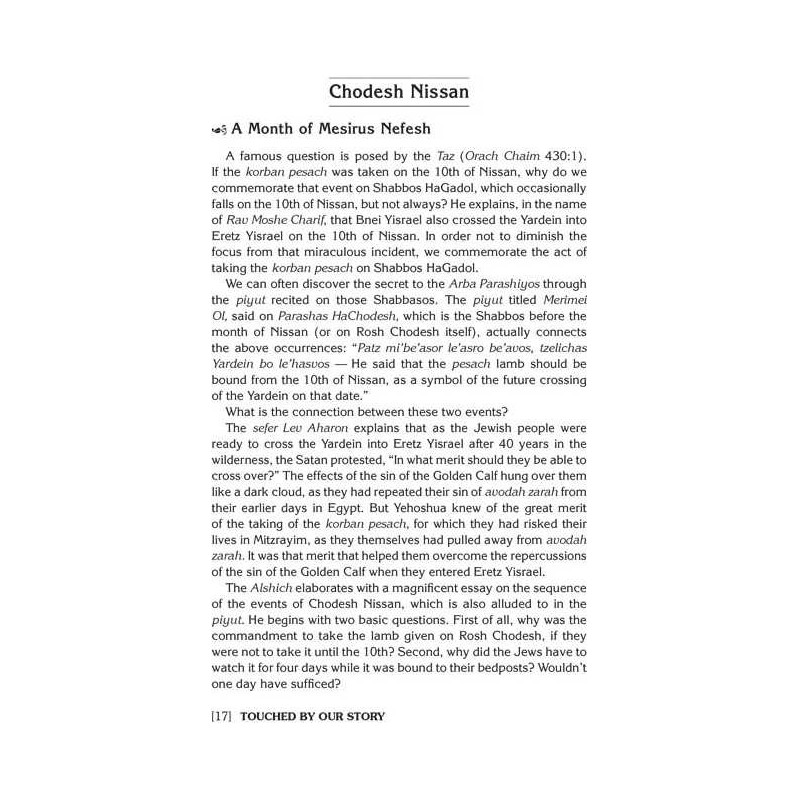 Haggadah Touched by Our Story | Passover | Judaica