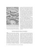 History Of Jewish People Volume 2 - From Yavneh To | Books | Judaica