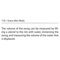 Halachic Handbook: The Laws of the Succah and Four | Sukkot | Judaica